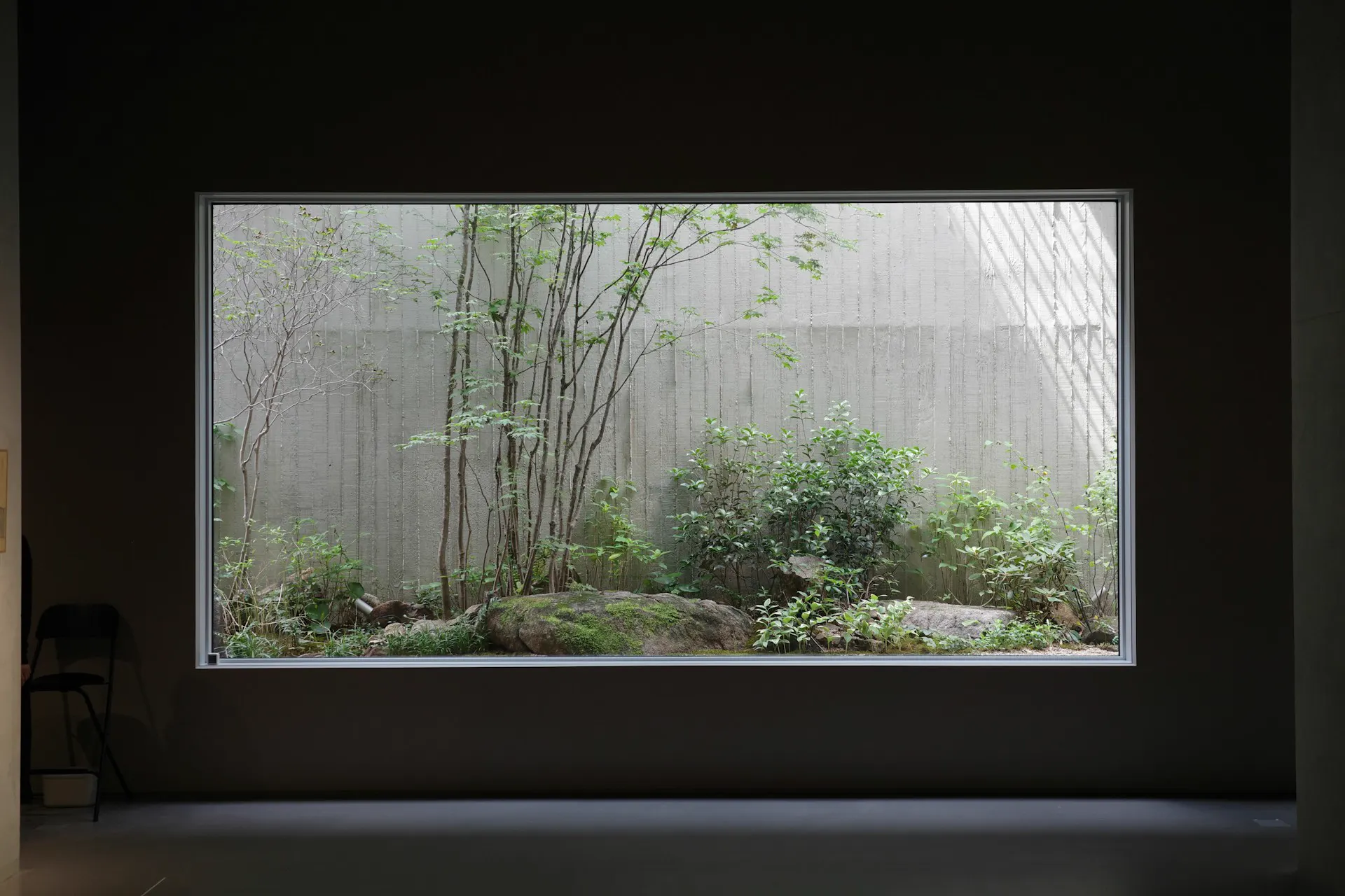 A wide window framing a small garden of moss and rocks